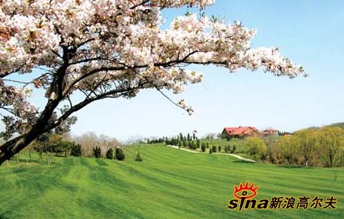 九游游戏官网高尔夫淘汰赛，中原铁骑队与辽东海豚队大胜，阵地战处理得当！主场山呼海啸(辽东战役简介)